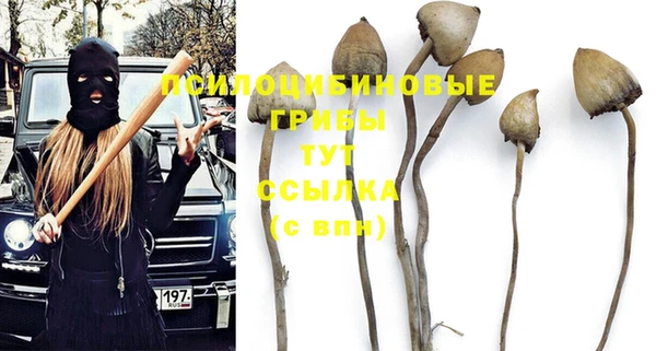 таблы Алексеевка