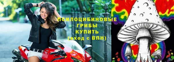 спиды Алзамай
