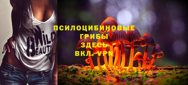 дурь Алексин