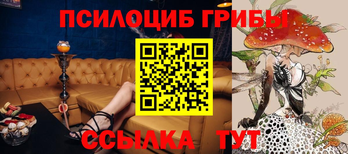 Псилоцибиновые грибы GOLDEN TEACHER  Галлюциногенные грибы мицелий  что такое наркотик  Березники  Вход с VPN 