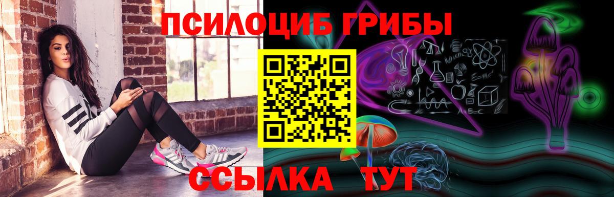 Псилоцибиновые грибы мухоморы Березники